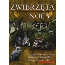 Zwierzęta nocy