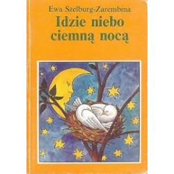 Idzie niebo ciemną nocą